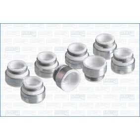 Dichtungssatz, Ventilschaft 57000600