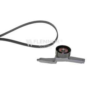 Achetez des Jeu de courroies trapézoïdales à nervures FLENNOR F905PK1255 à prix pour 56,51 €