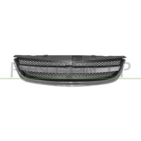 Kühlergrill DW0112001