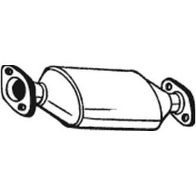 Katalysator 099-057