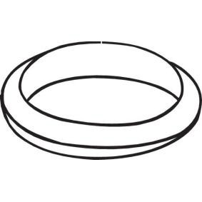Dichtung, Abgasrohr 256-553