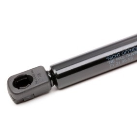 Köp Gasfjäder till baklucka av JOHNS 71 21 95-95 till det låga priset 115,32 kr