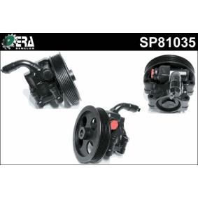 Servopumpe SP81035