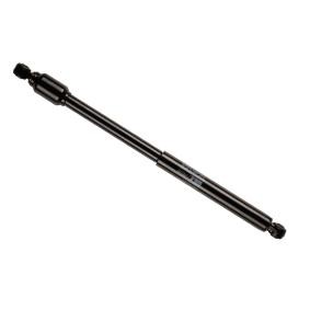 Lenkungsdämpfer des Herstellers BILSTEIN - Originalware Artikelnummer: 18-002461