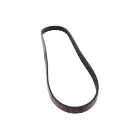 Achetez des Courroie Poly-V MAPCO 261090E à prix pour 13,02 €