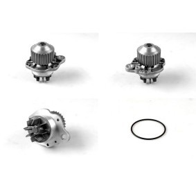 Achetez des Pompe à eau GK 986890 à prix pour 94,42 €