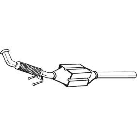 Katalysator 090-456