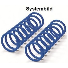 Zusatzfeder 413376500001