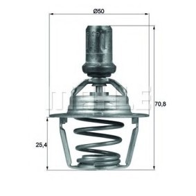 Kühlwasserthermostat von BEHR THERMOT-TRONIK