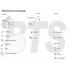 Kjøp Turbolader av BTS TURBO T981572 til den lave prisen 15836,45 NOK