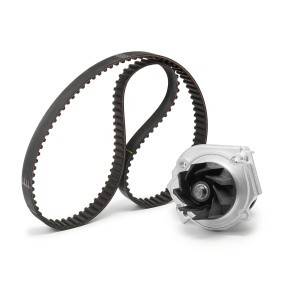 Achetez des Kit de distribution + pompe à eau INA 530 0462 30 à prix pour 80,02 €