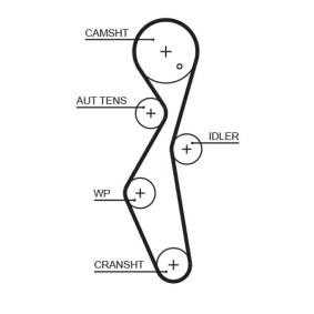 Achetez des Courroie de distribution de chez GATES en ligne pour Jumpy III Van (V) à prix modérés
