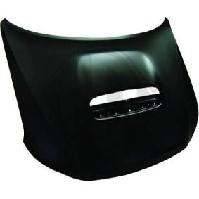 Motorhaube 6242100