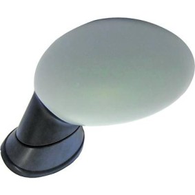 Compre Espelho retrovisor da DIEDERICHS 1206324 a um preço baixo por 187,72 €
