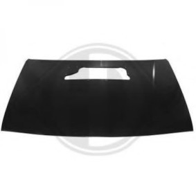 Motorhaube 6432800