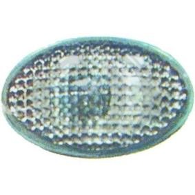 Blinker von DIEDERICHS für Corsa C Schrägheck (X01) günstig online kaufen