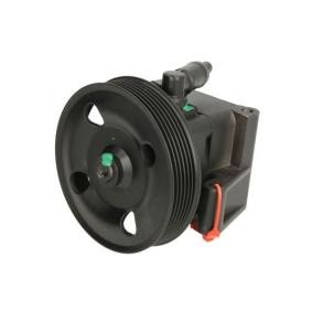 Servopumpe 55.3501 von LAUBER günstig für 180,23 € online kaufen