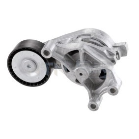 Comprar Polea tensora, correa poli V de SNR GA357.26 a bajo precio de 40,04 €