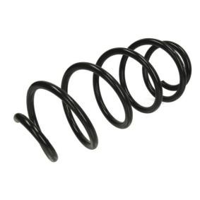 Fahrwerksfeder SW119MT von Magnum Technology günstig für 49,01 € online kaufen
