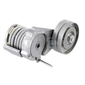 Comprar Polea tensora, correa poli V de SNR GA357.40 a bajo precio de 44,41 €