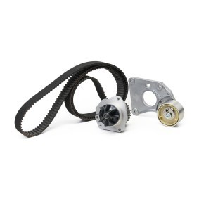 Achetez des Kit de distribution + pompe à eau SKF VKMC 03902-2 à prix pour 374,67 €