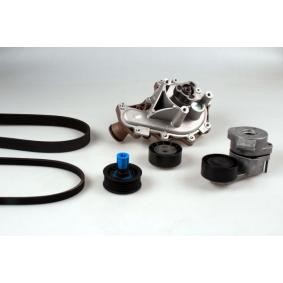 Achetez des Pompe à eau+Jeu de courroie trapézoïdale à nervures HEPU PK08080 à prix pour 242,08 €