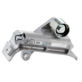 Compre Tensor de la correa de distribución de SNR online para Leon I Hatchback (1M1) a precios moderados