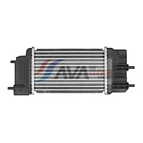 Klimakompressor für DAF von AVA COOLING SYSTEMS