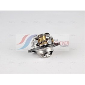 Achetez des Radiateur du moteur AVA COOLING SYSTEMS CR2119 à prix pour 187,04 €