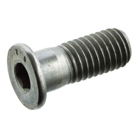 Acquista Bullone, Disco freno da FEBI BILSTEIN 01893 a buon mercato per soli 2,10 €