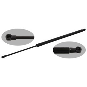 Achetez des Vérin de coffre FEBI BILSTEIN 38231 à prix pour 28,47 €