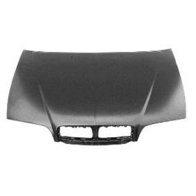 Motorhaube 0260660