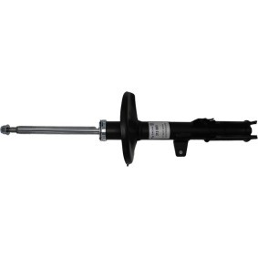 Stoßdämpfer 313 889