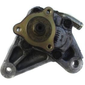 Servopumpe 53825
