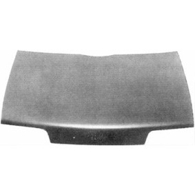 Motorhaube 0935660