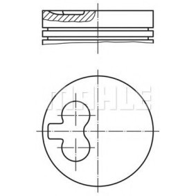 Kolben 6273501