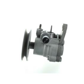 Achetez des Pompe de direction assistée SPIDAN 53703 à prix pour 324,27 €