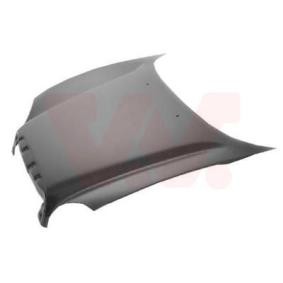 Motorhaube 8265660