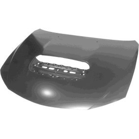 Motorhaube 5136670