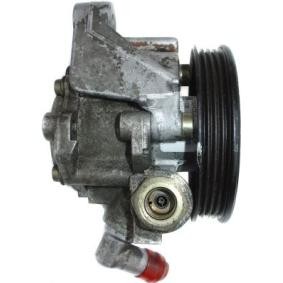 Servopumpe 54147