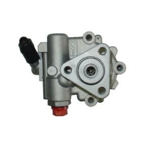 Servopumpe 54401