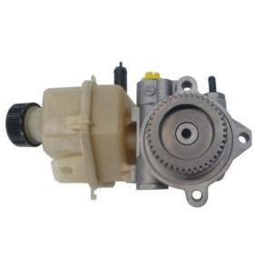 Servopumpe 54513