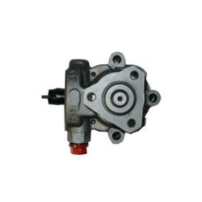 Servopumpe des Herstellers SPIDAN - Originalware Artikelnummer: 52668