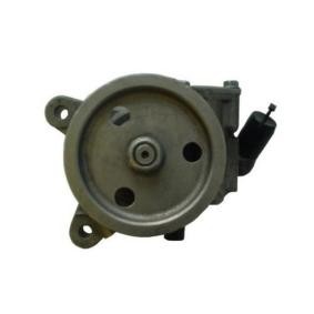 Servopumpe 53713