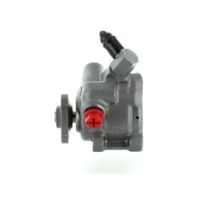 Servopumpe 53851