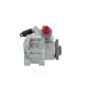 Servopumpe des Herstellers SPIDAN - Originalware Artikelnummer: 54431