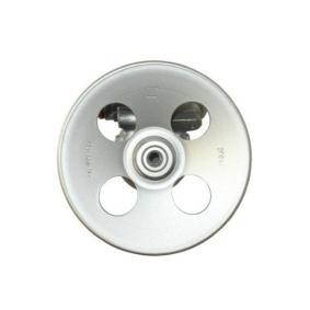 Servopumpe 53681