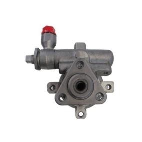 Servopumpe des Herstellers SPIDAN - Originalware Artikelnummer: 53582