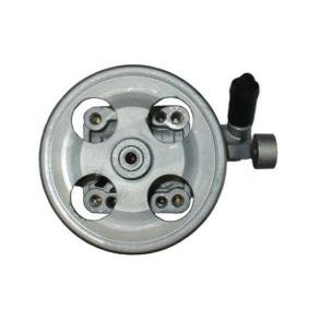 Servopumpe 54372