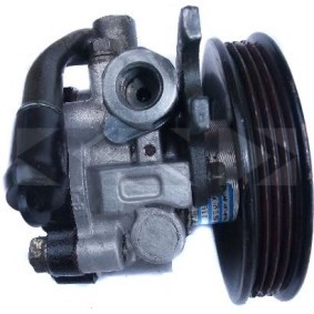 Servopumpe 54314